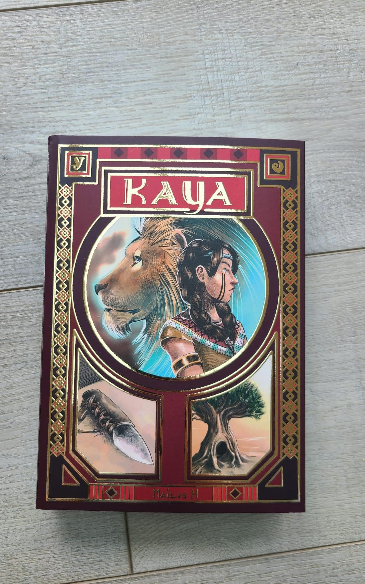 1ère de couverture de Destins croisés 