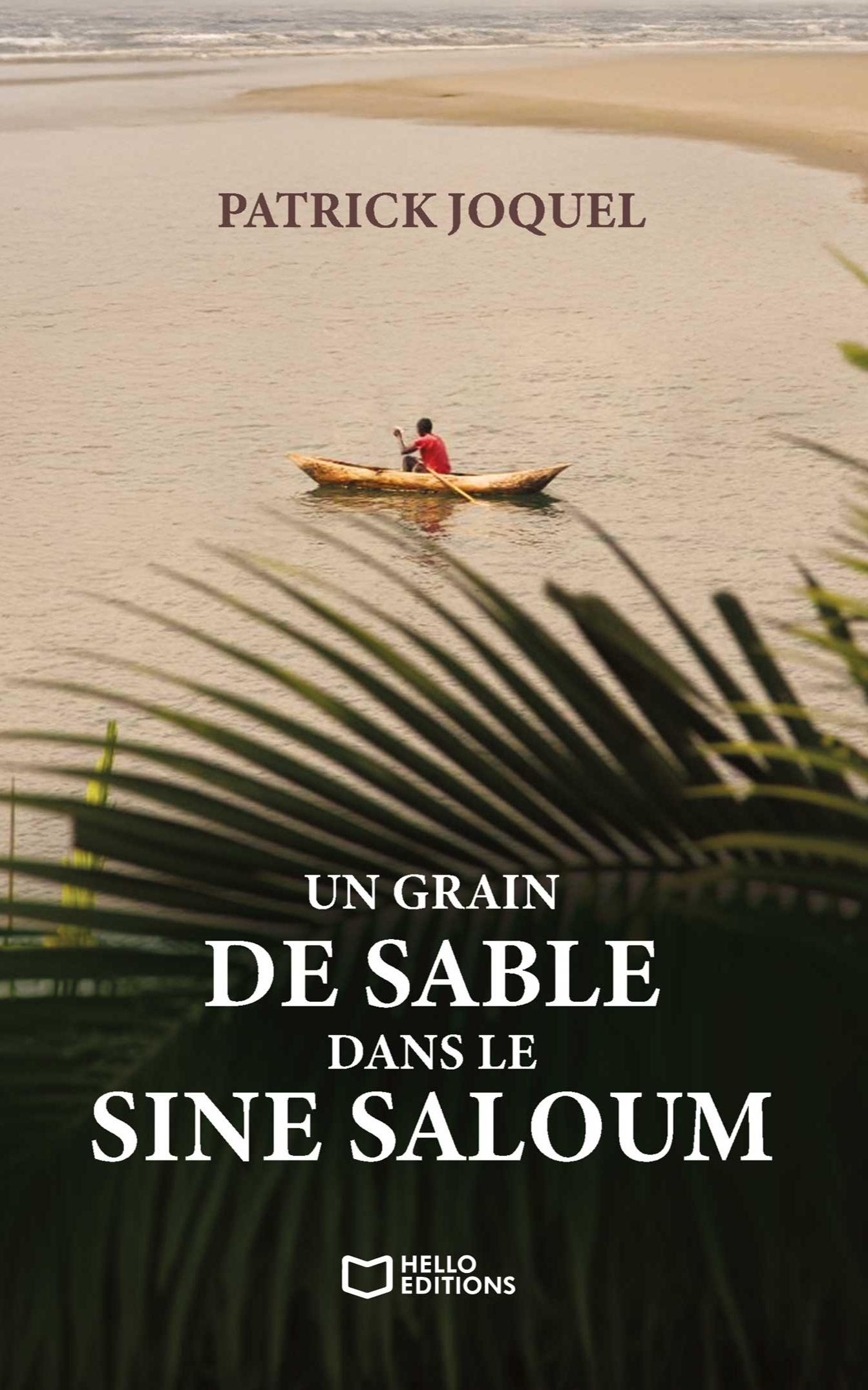 1ère de couverture de Un grain de sable dans le Sine Saloum