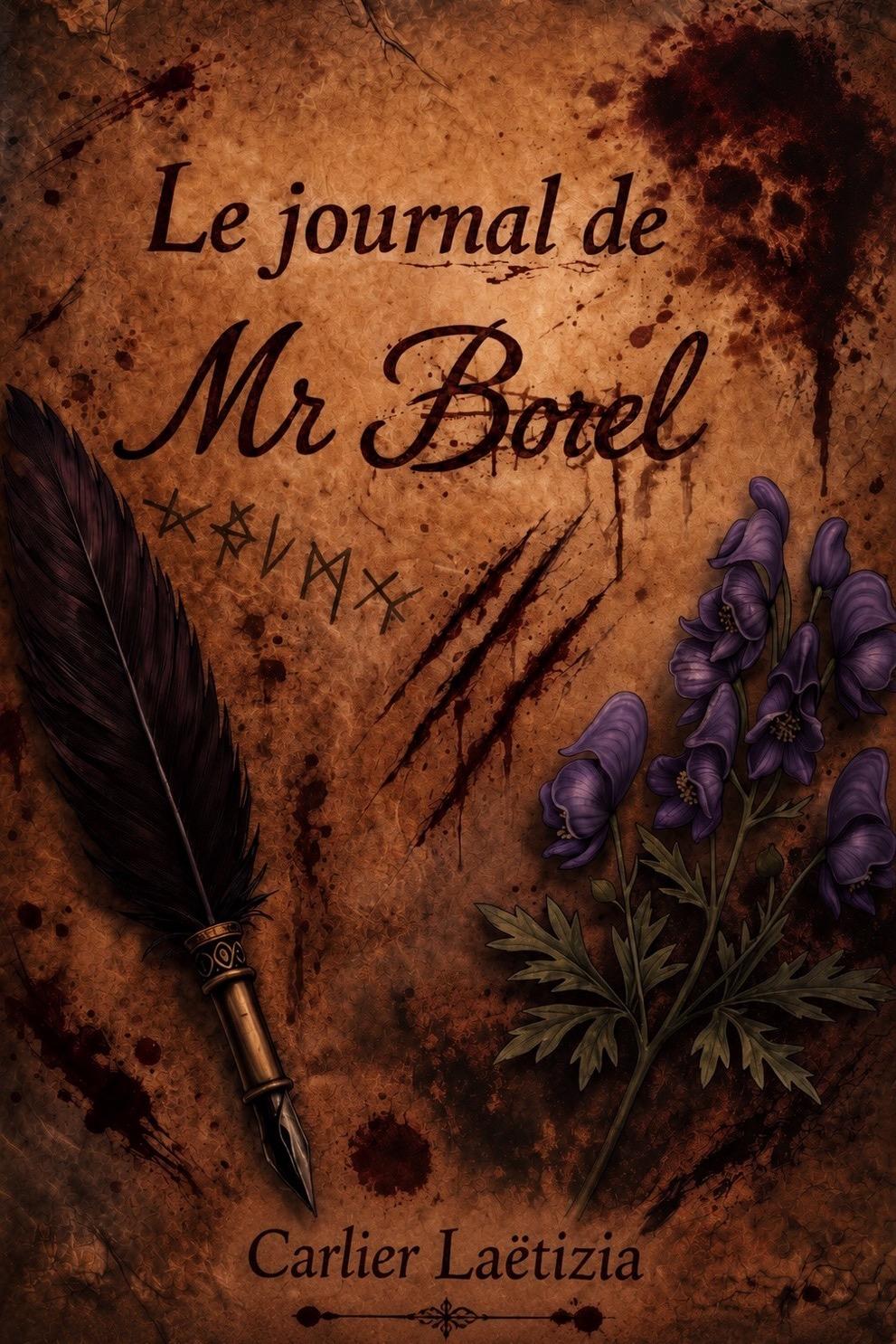 1ère de couverture de Le journal de MR Borel