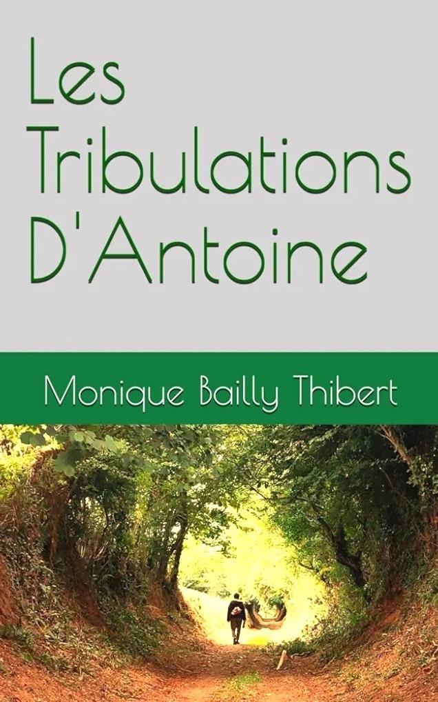 1ère de couverture de Les Tribulations d'Antoine