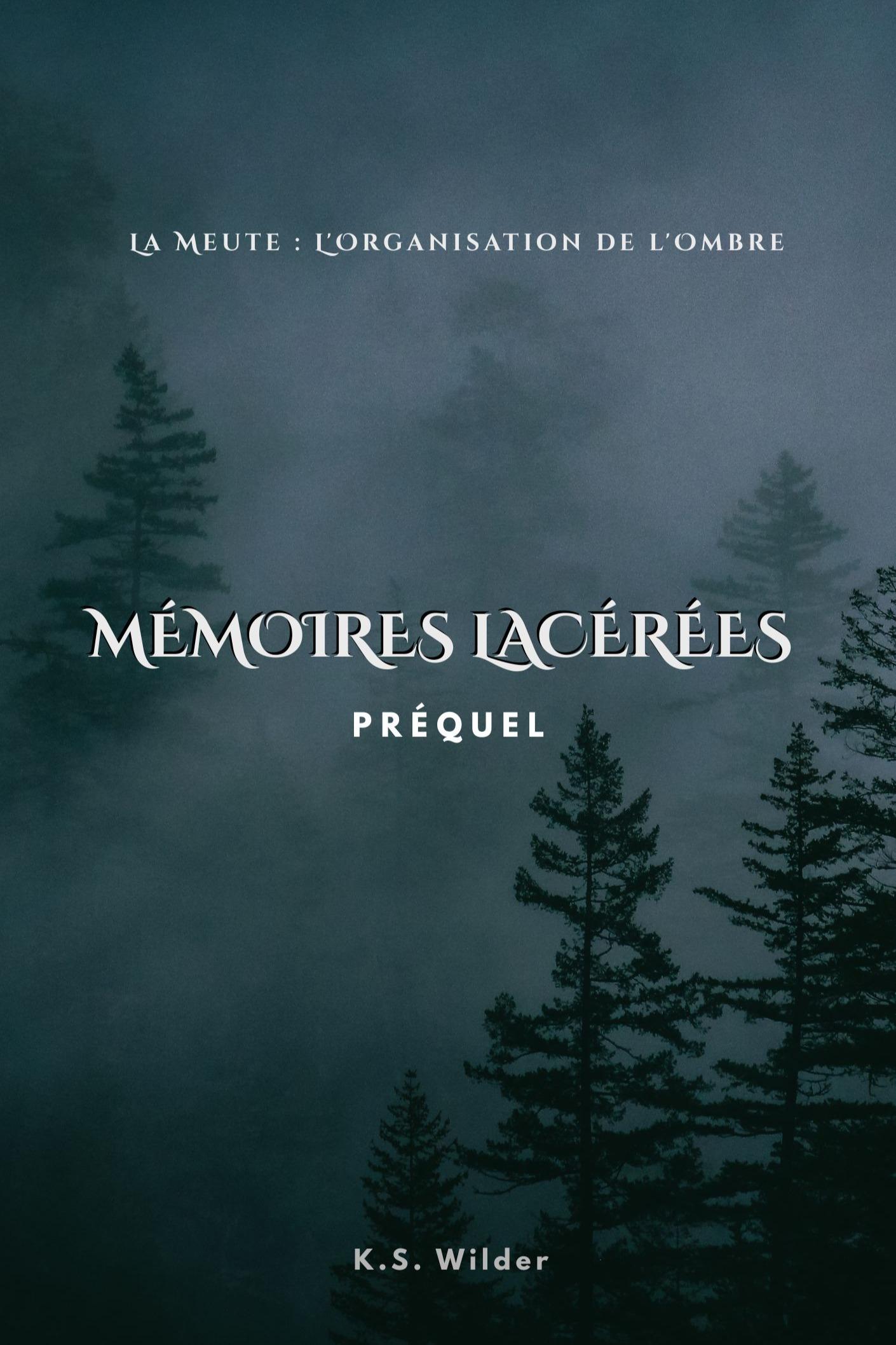 1ère de couverture de Mémoires Lacérées 