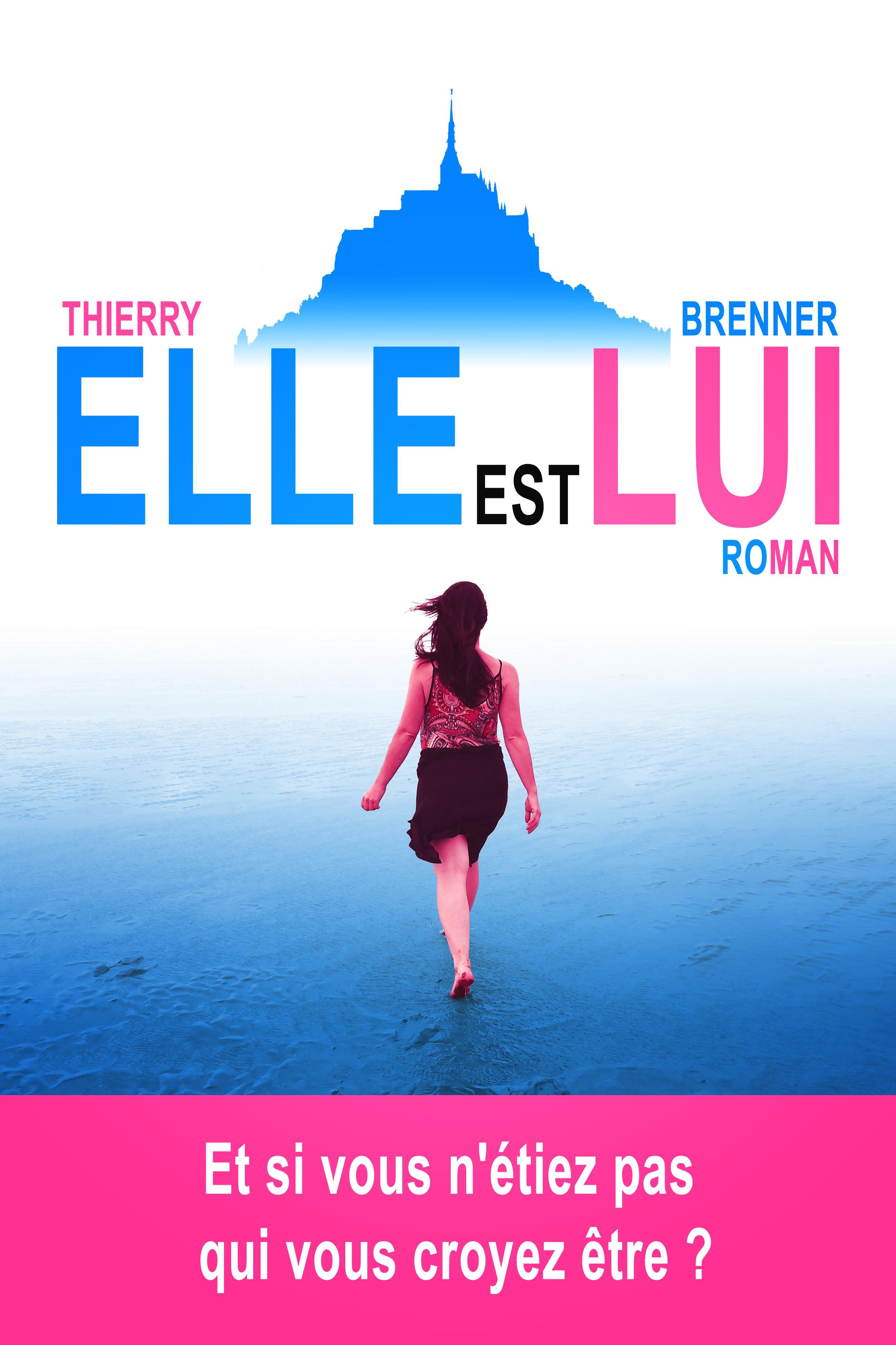 1ère de couverture de ELLE EST LUI