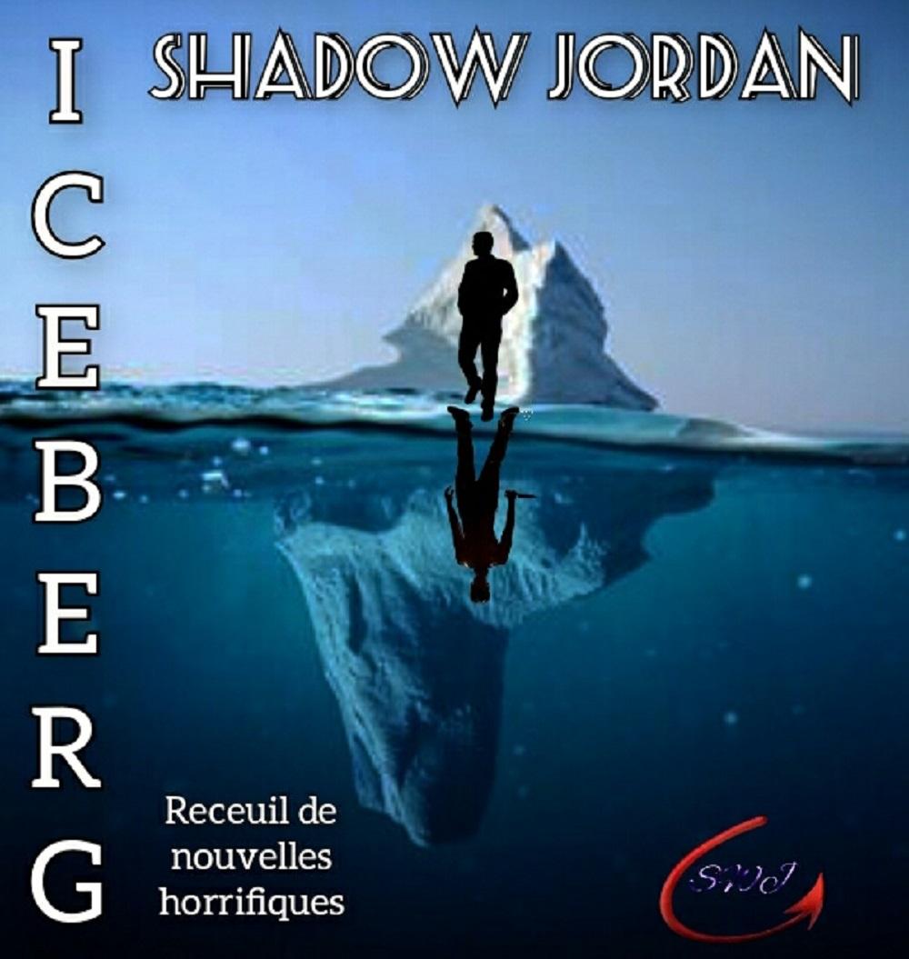 1ère de couverture de Iceberg