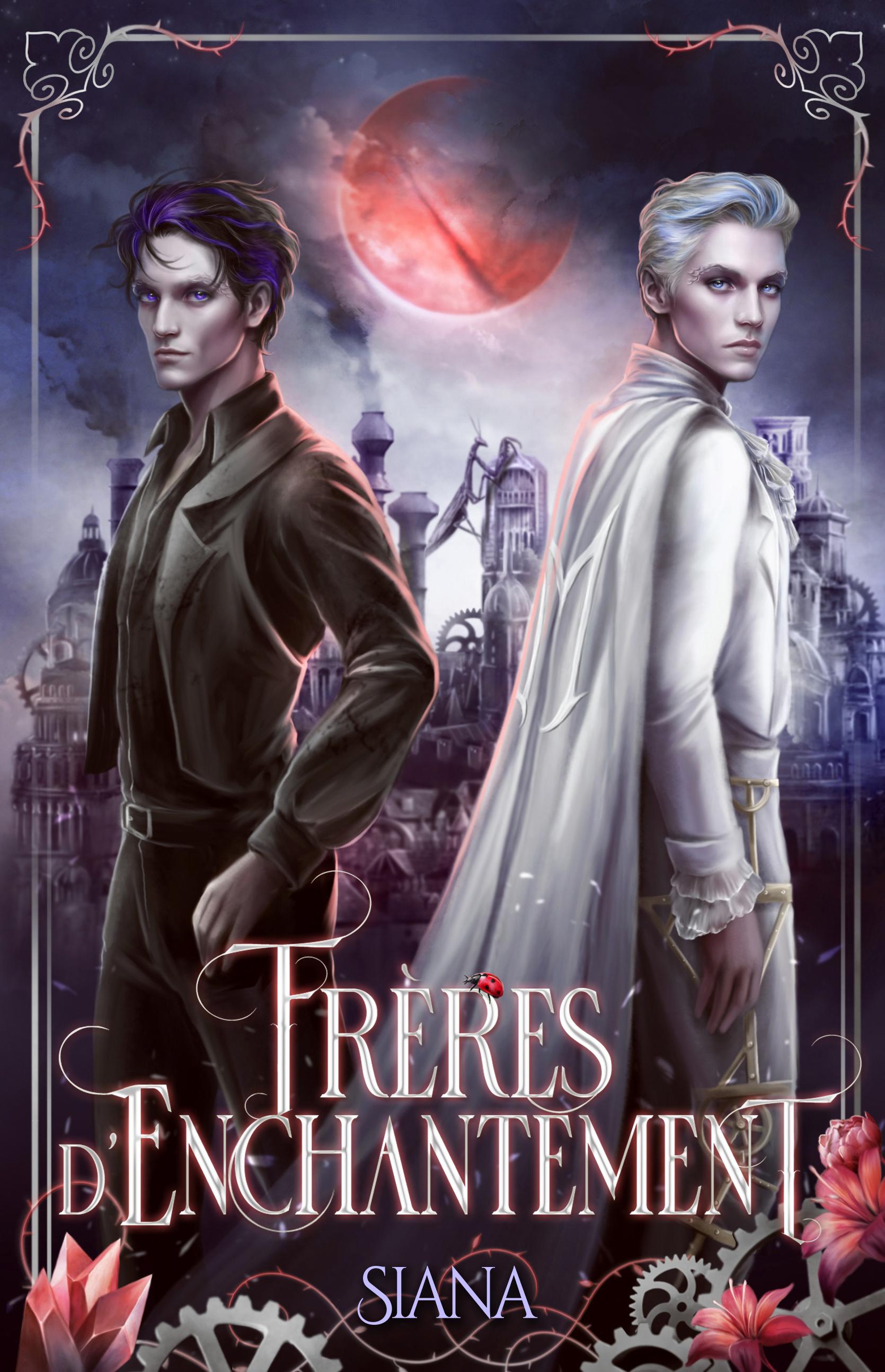 1ère de couverture de Frères d'enchantement