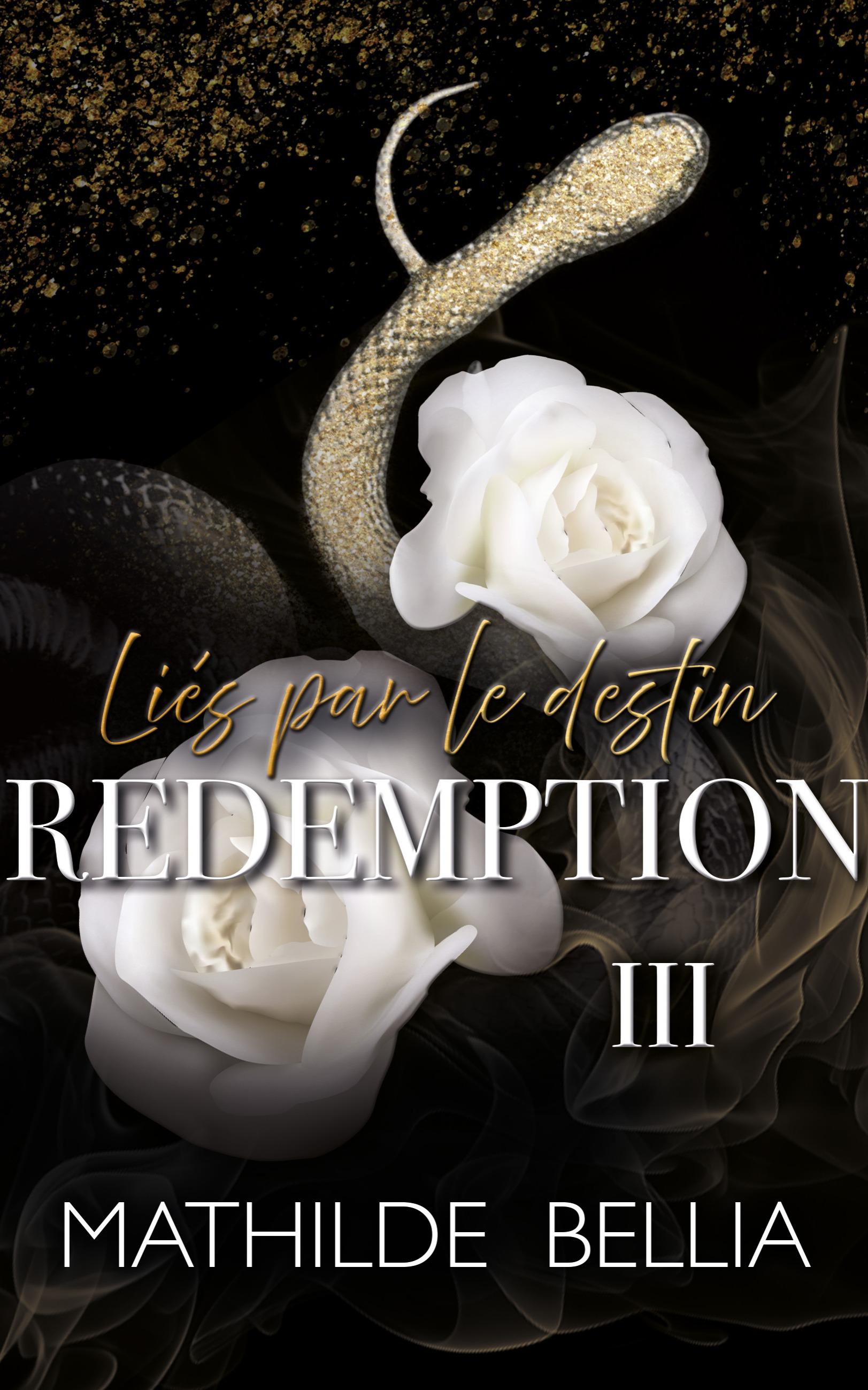 1ère de couverture de Liés par le destin T3 Rédemption