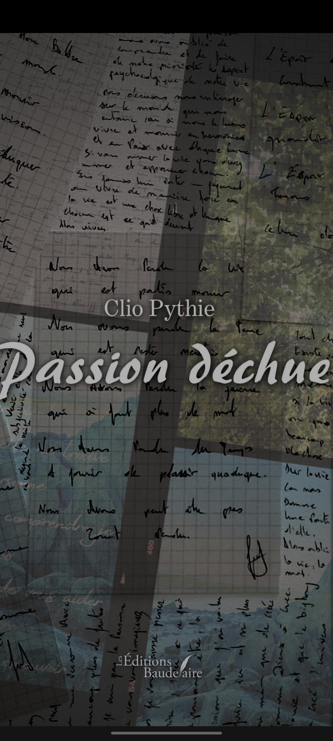 1ère de couverture de Passion déchu