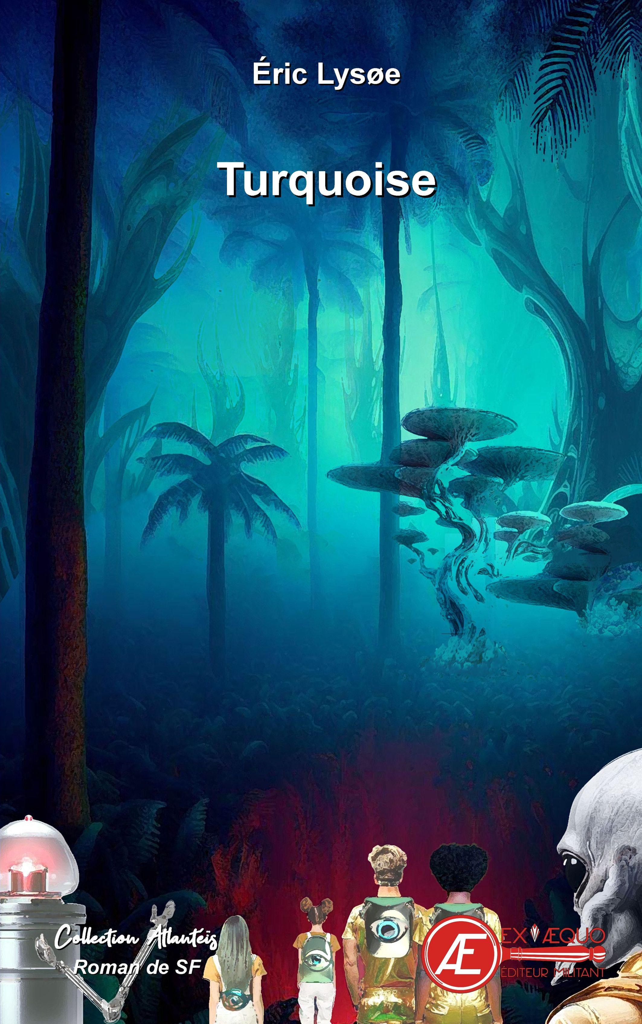 1ère de couverture de Turquoise