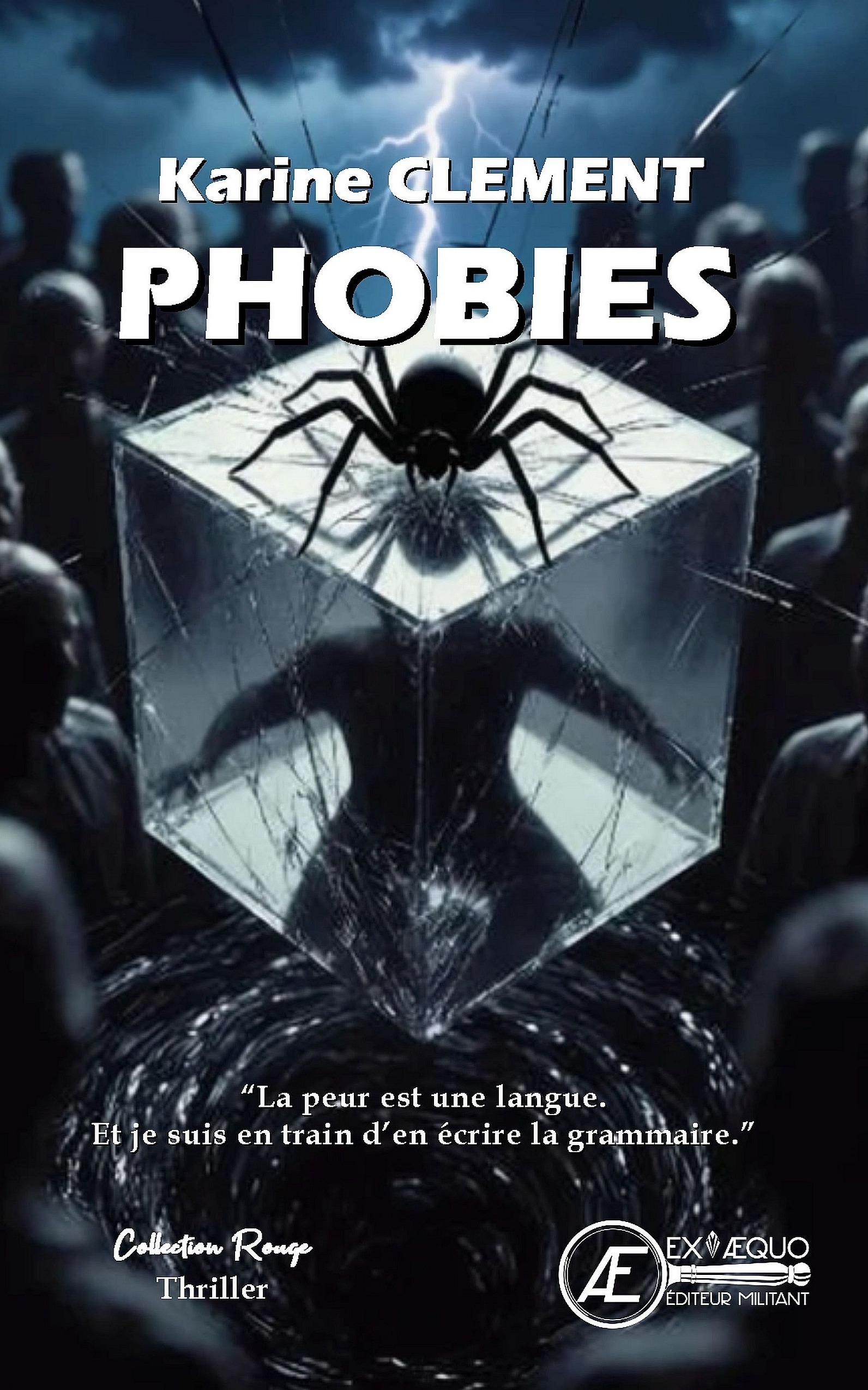 1ère de couverture de Phobies