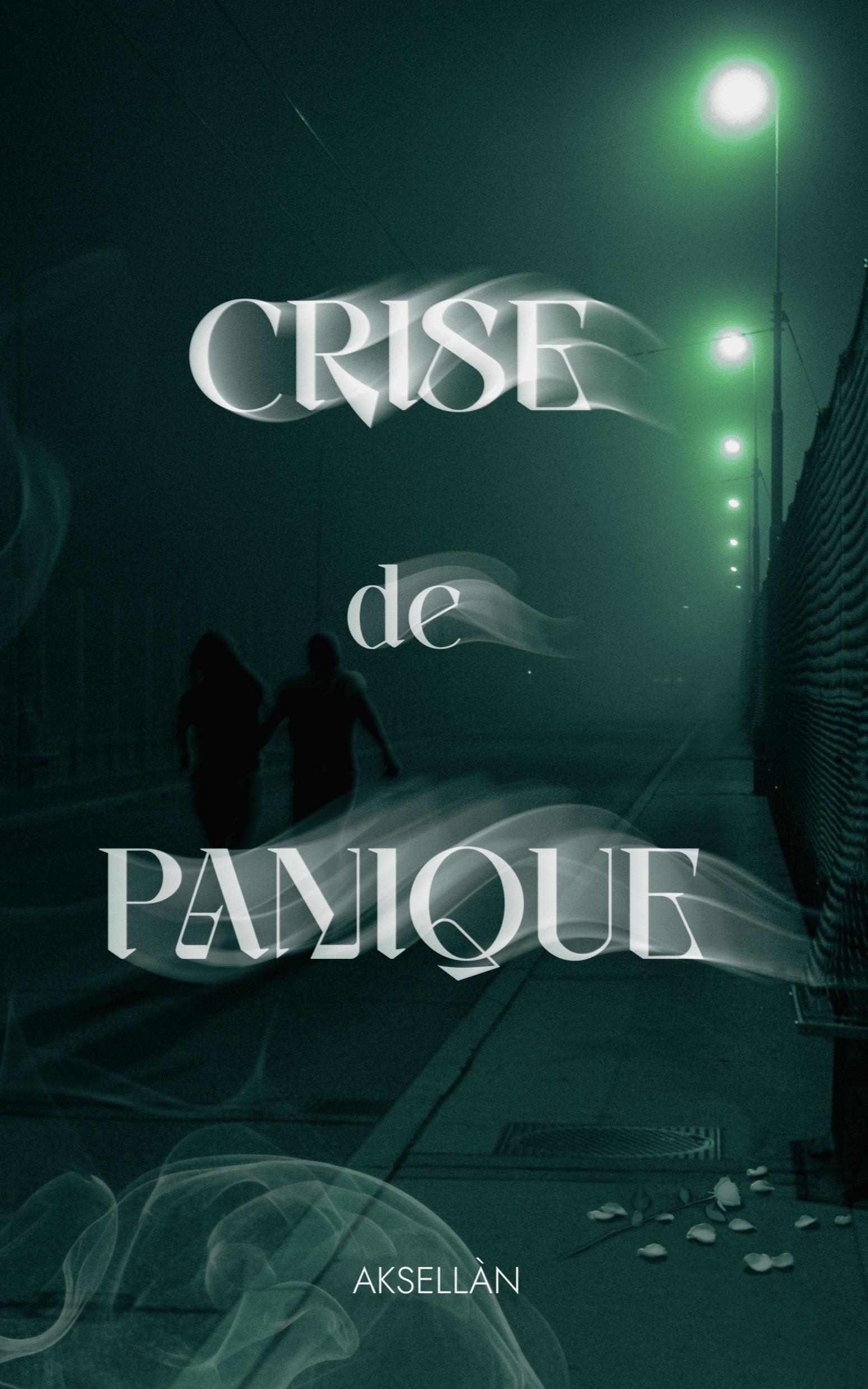 1ère de couverture de Crise de Panique