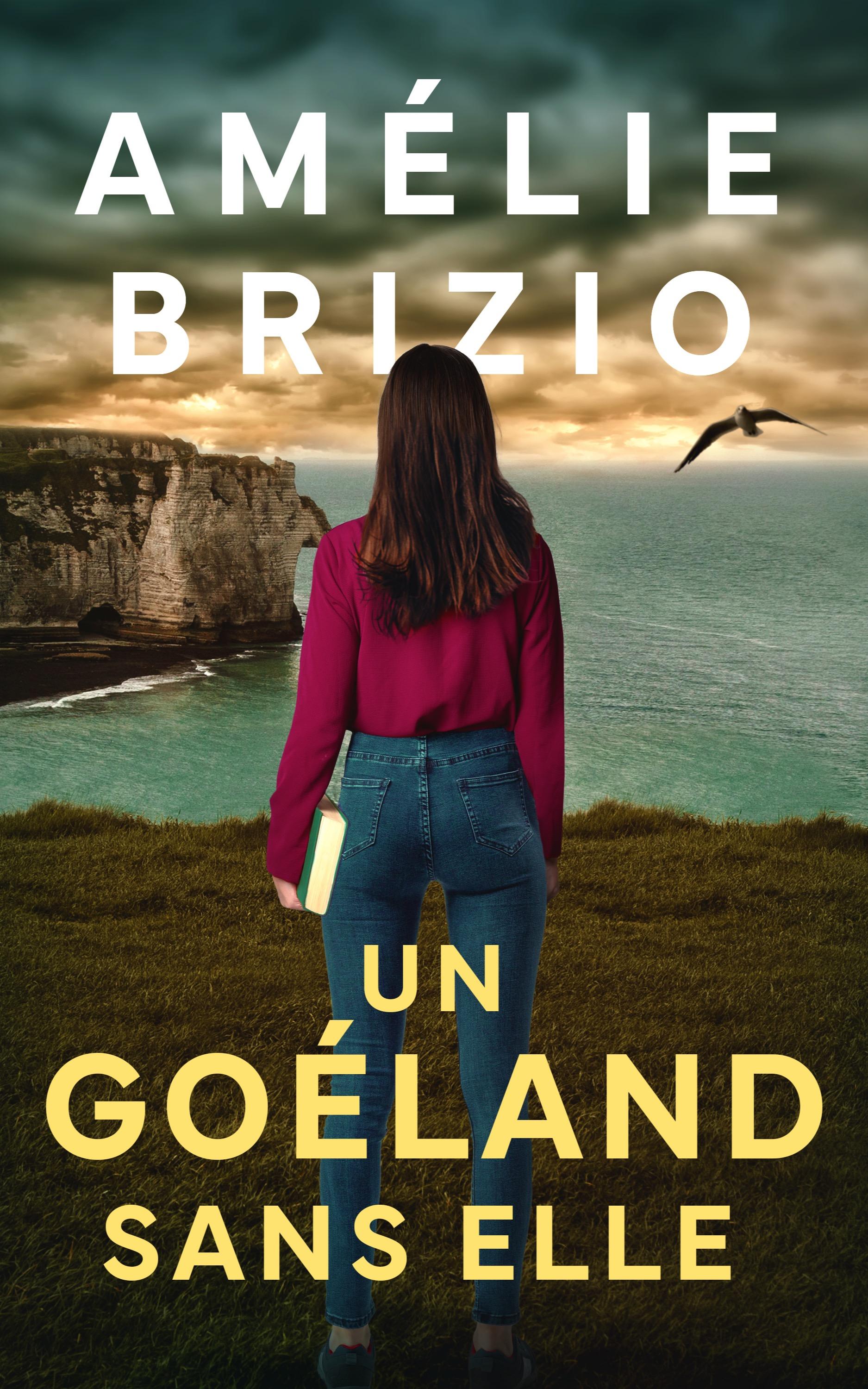 1ère de couverture de Un Goéland Sans Elle