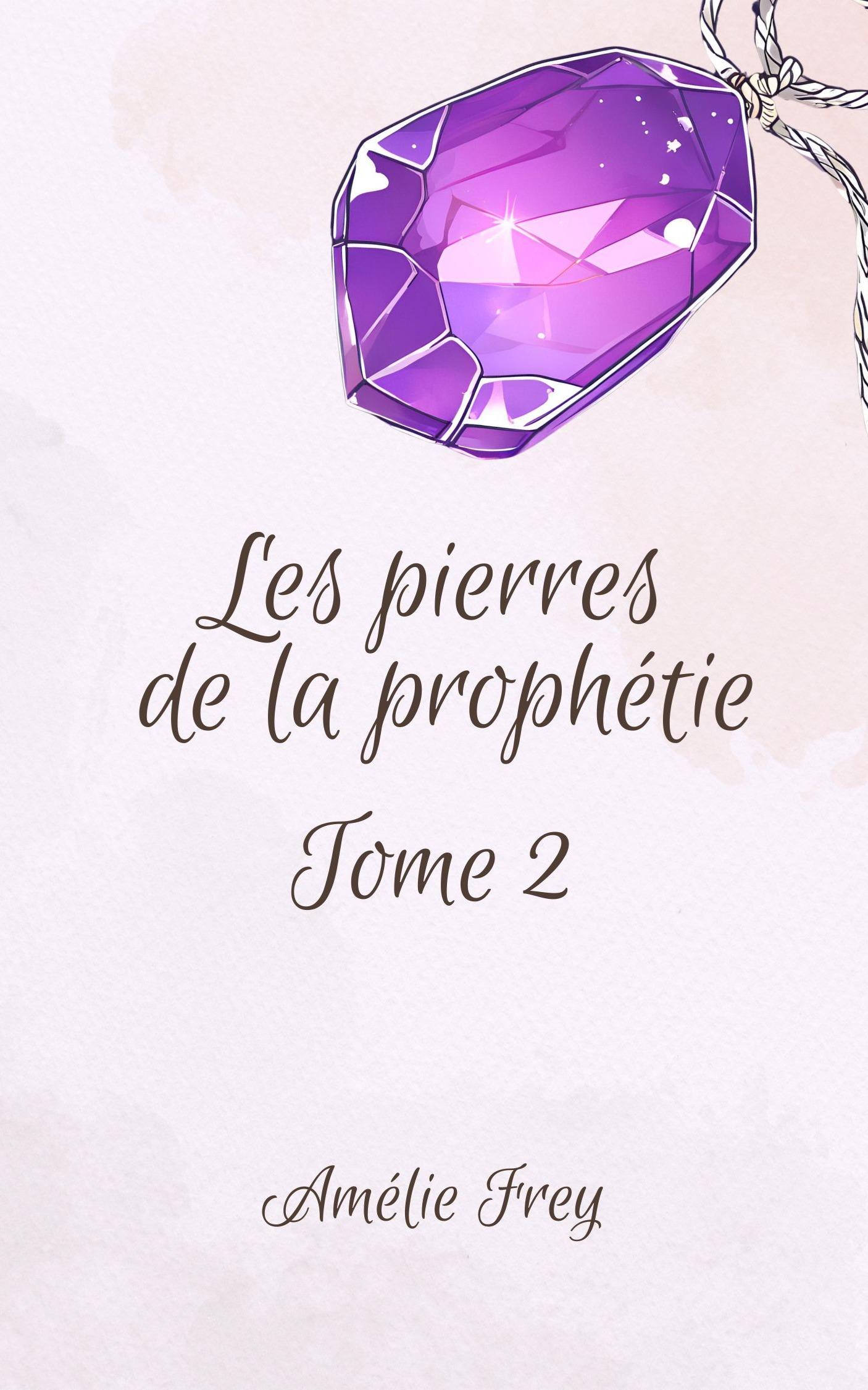 1ère de couverture de Les pierres de la prophétie Tome 2 : L'entraînement des gardiens