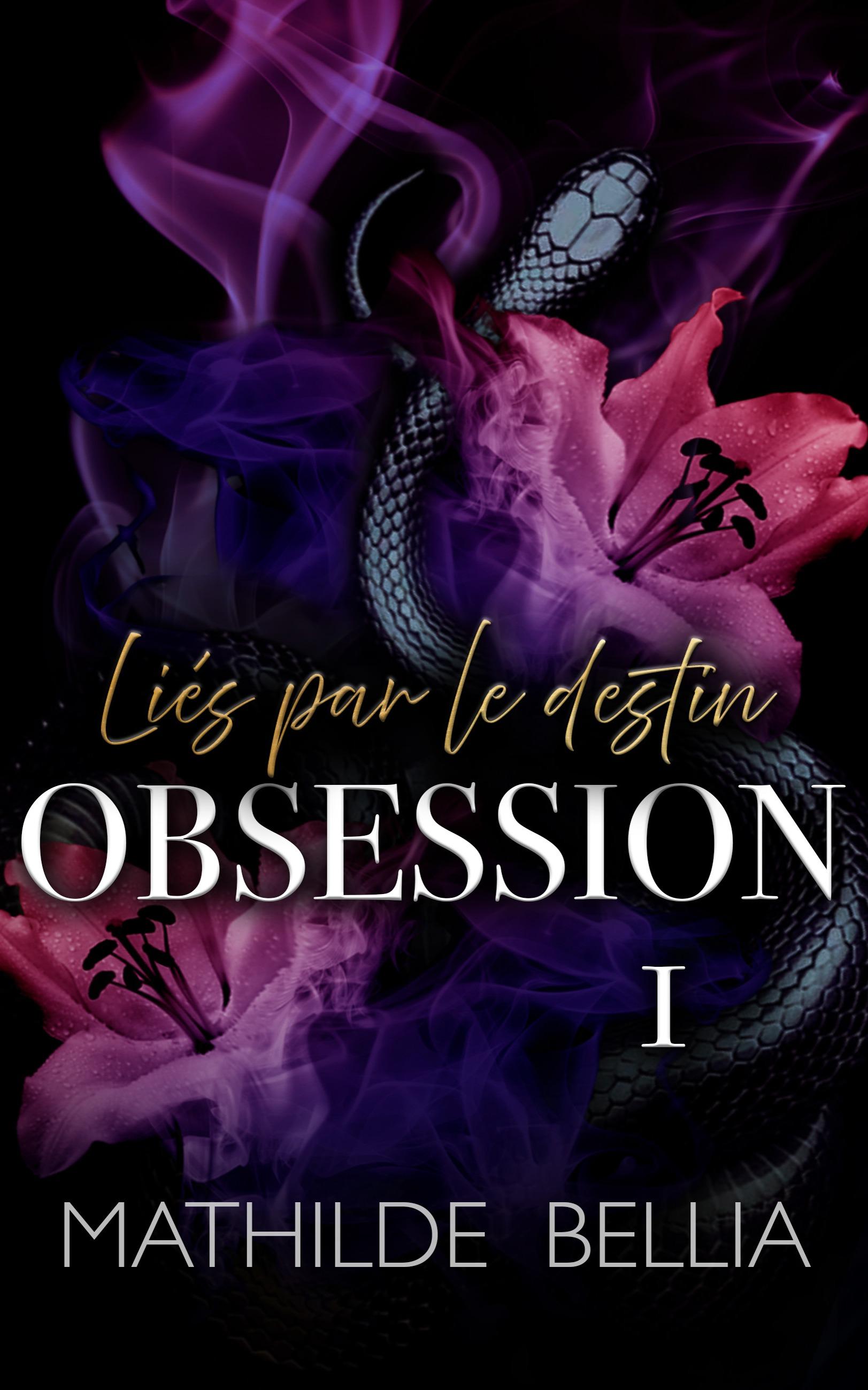1ère de couverture de Liés par le destin T1 - Obsession