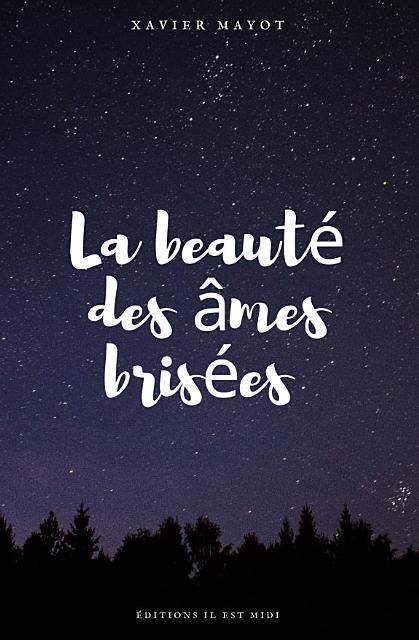 1ère de couverture de La beauté des âmes brisées