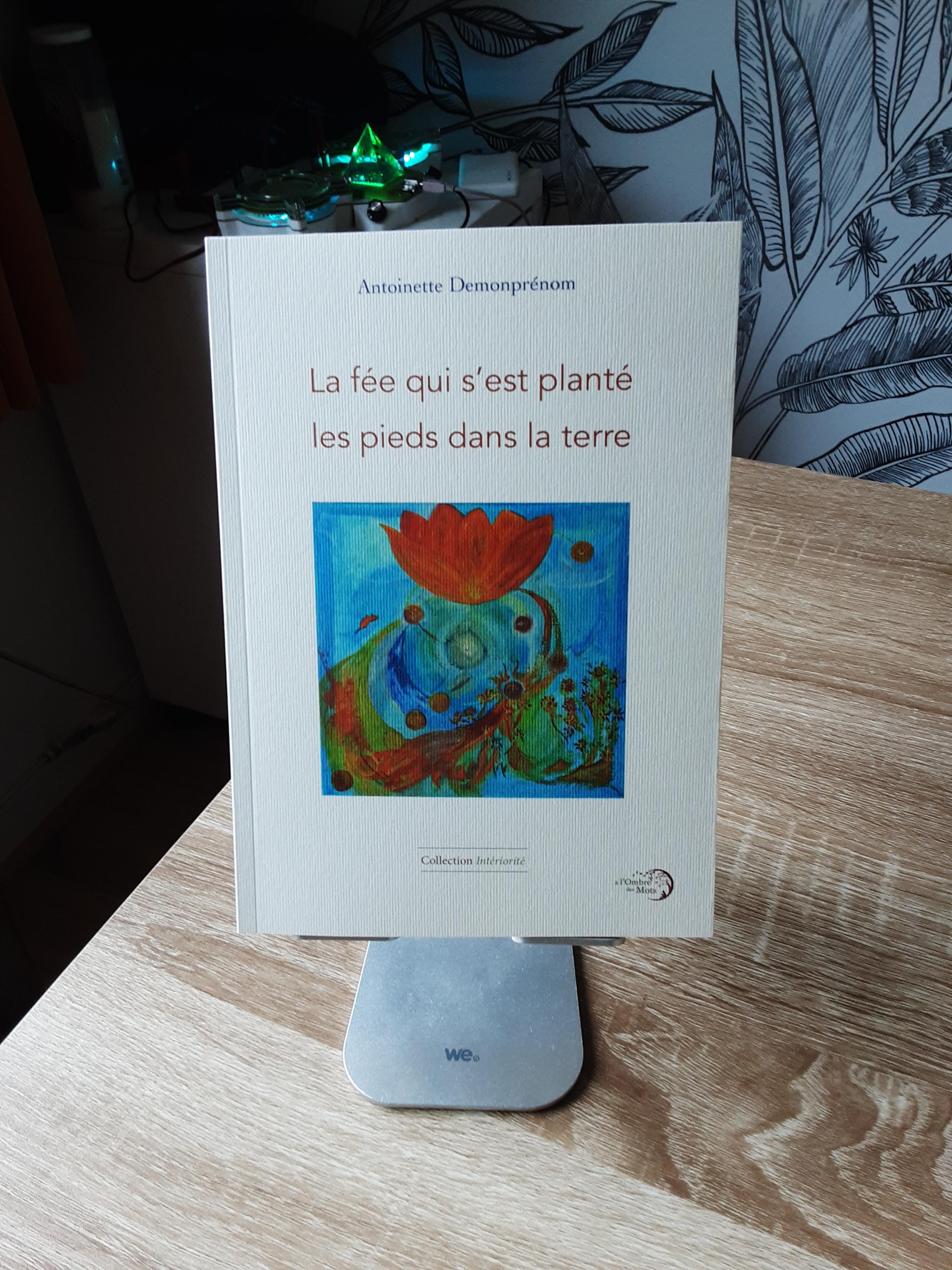 1ère de couverture de la fée qui s'est plantée les pieds dans la terre