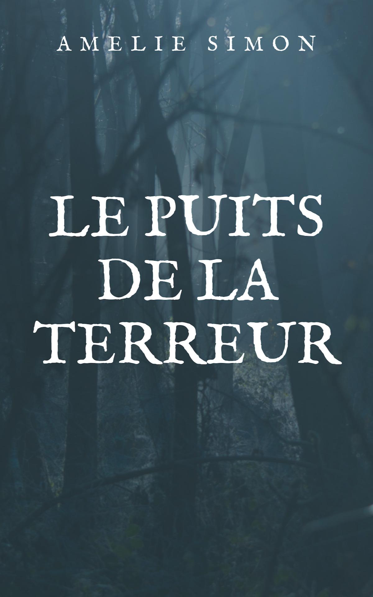 1ère de couverture de Le puits de la Terreur