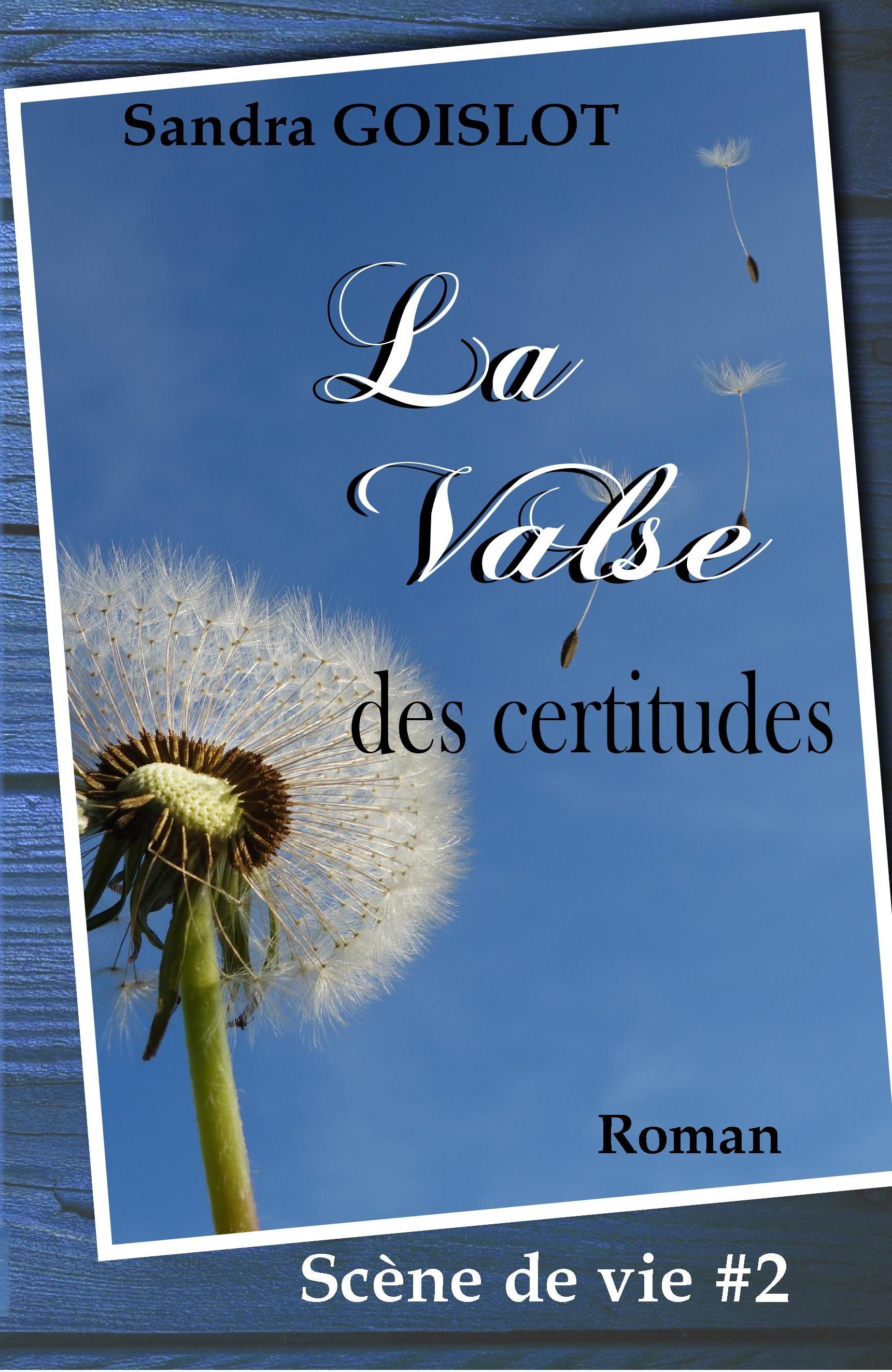 1ère de couverture de La valse des certitudes